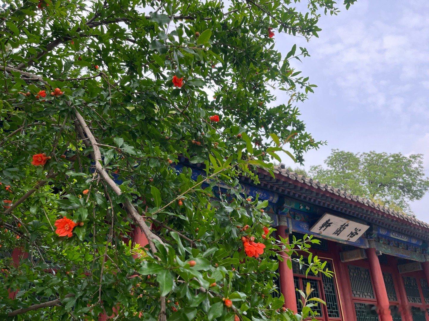 cityrun 260507，北海-景山，8km，春花都开完了，没什么思路，就还
