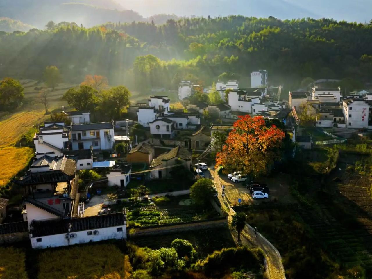 碰到一个高三的学生家长，我觉得孩子倒是心态蛮好的，家长的心态不对。家长明显有焦虑