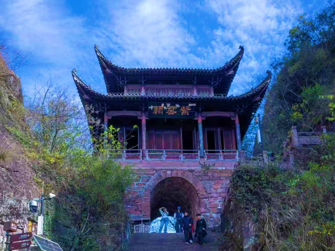 公园美丽景随拍