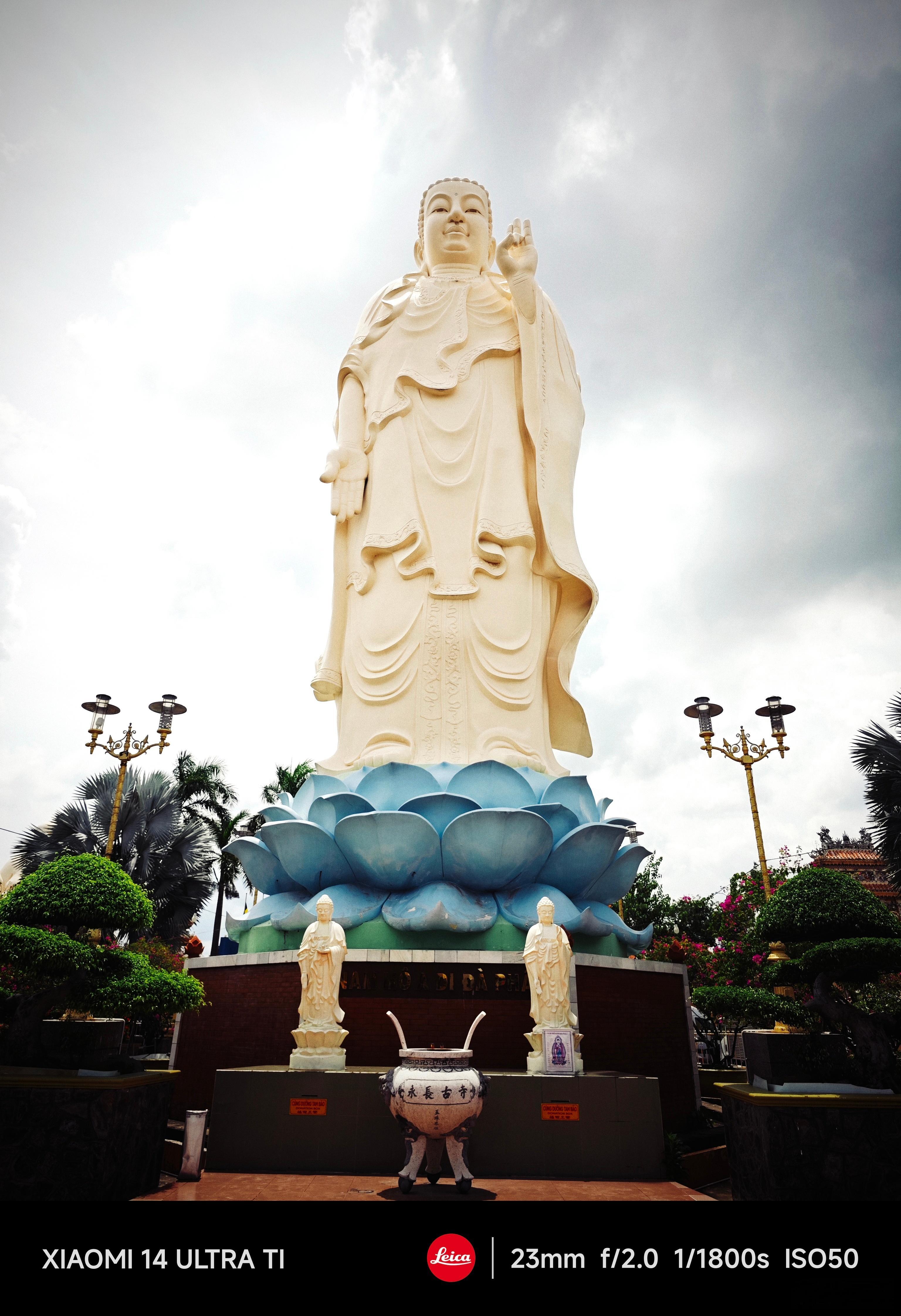 #每天早起打卡#早上好，收拾行李，准备出发。 ​​​