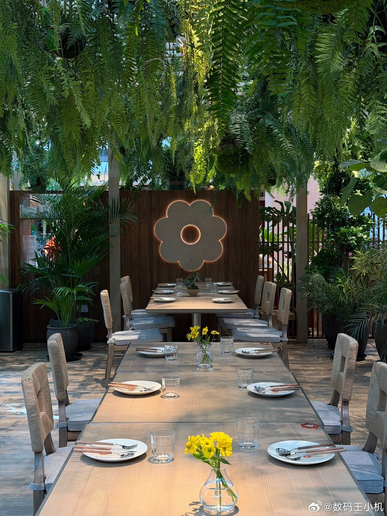 前阵子发现一家新开的花厨Cafe首店我真的会N刷～森系风的空间里满是绿植干花原木