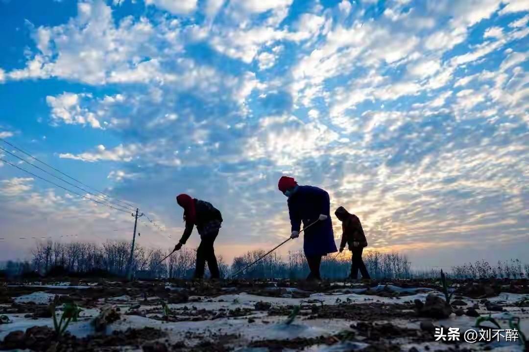 这样排名对吗？
1、健康
2、金钱
健康是根，金钱是叶，根若枯萎，枝叶再繁茂也白