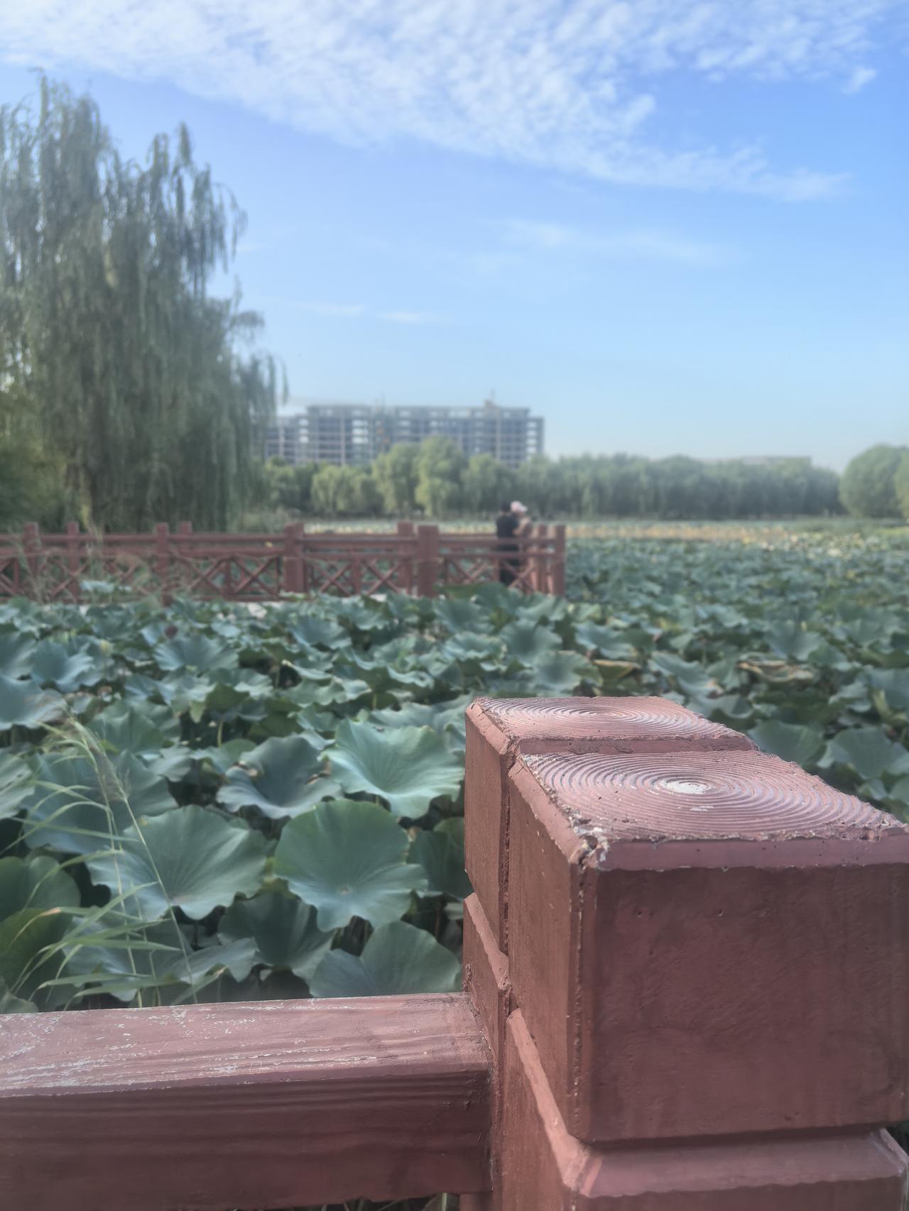 这些天，从付磊与曾梦琪，我突然间地悟出一个天大的道理。
那就是几年前，我的女儿为