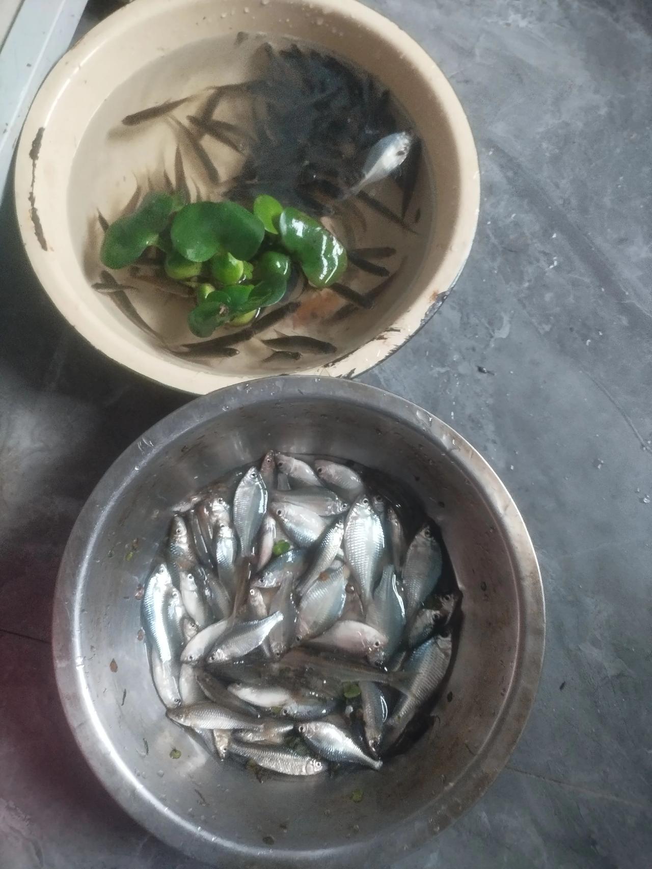 钓不到大的，用的浮漂
