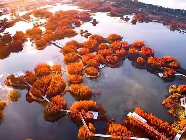 鱼尾洲公园是南昌最具特色湿地公园。鱼尾洲公园是南昌最具特色湿地公园，它位于南昌市