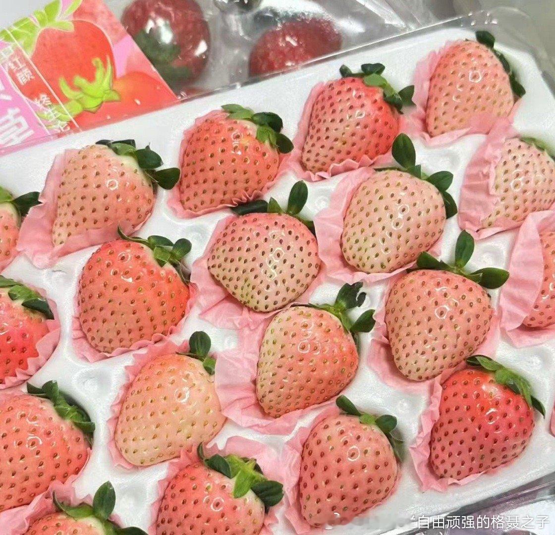 还是红色儿的更甜 