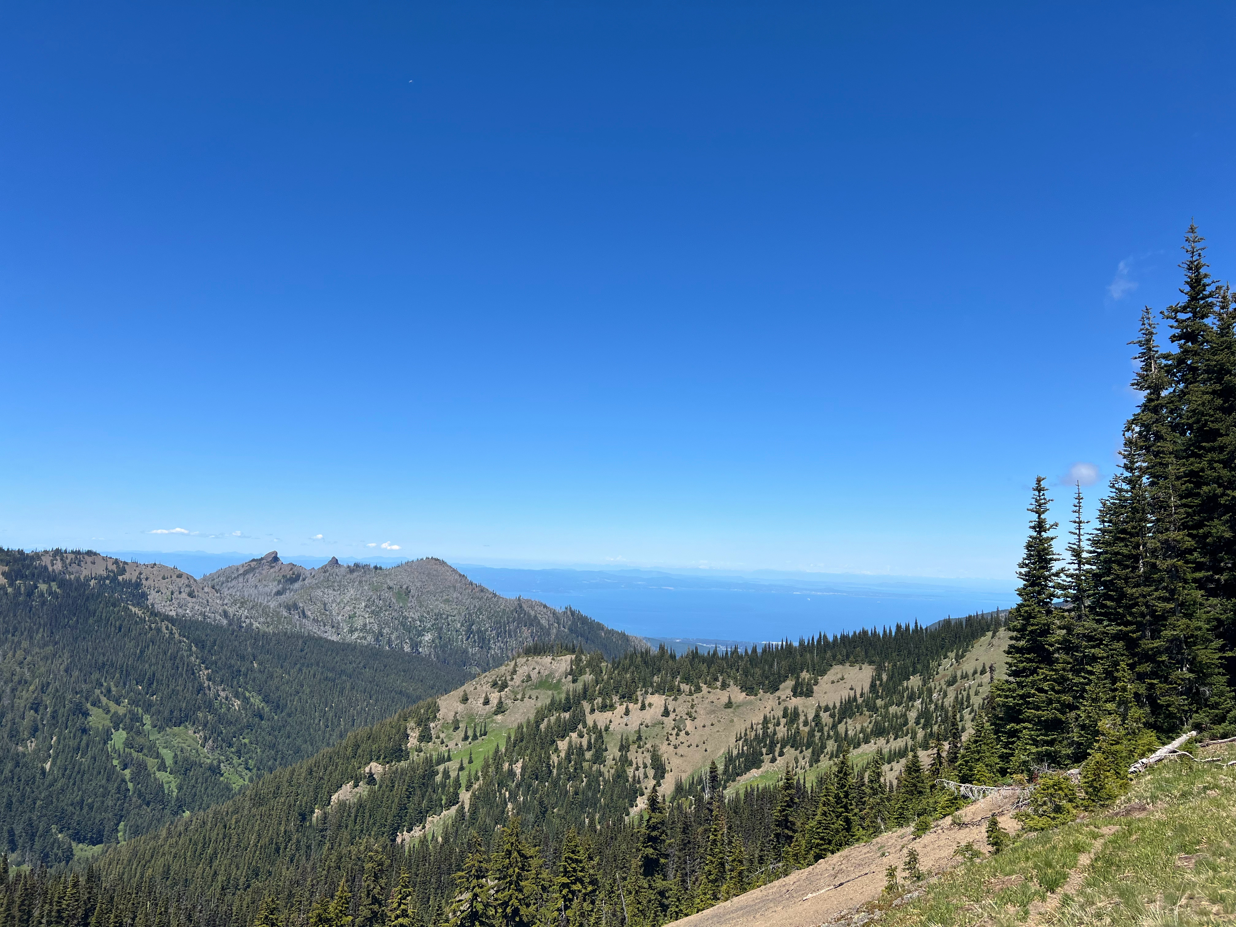 Hurricane Ridge 美国·奥利匹克国家公园