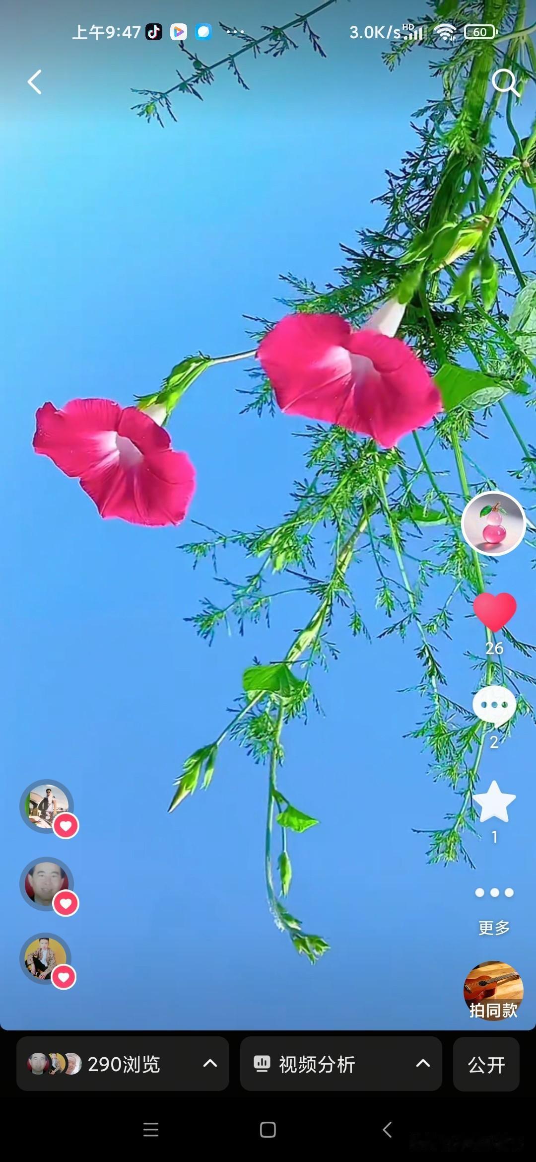 人生就像这一盘象棋，我不知道该怎么走了？
结婚之前幸福的生活着！从小生活虽然不是