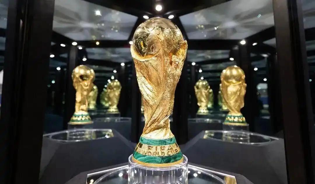 　　FIFA给予中国区近3亿美元天价世界杯版权，相对于印度连三分之一价格都不到。