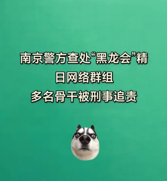 南京警方这回端掉的"黑龙会"，真不是几个小年轻上网嘴嗨那么简单。
据通报，群主一
