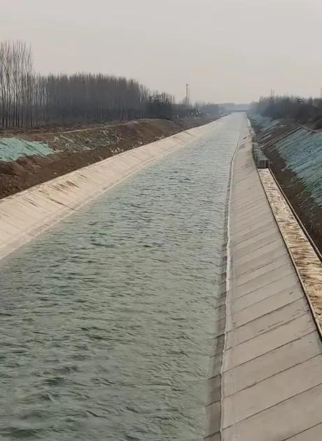 桥上的鲜花还没谢，四个家庭的天已经塌了！

36岁的退役军人徐闯，曾是部队里七次