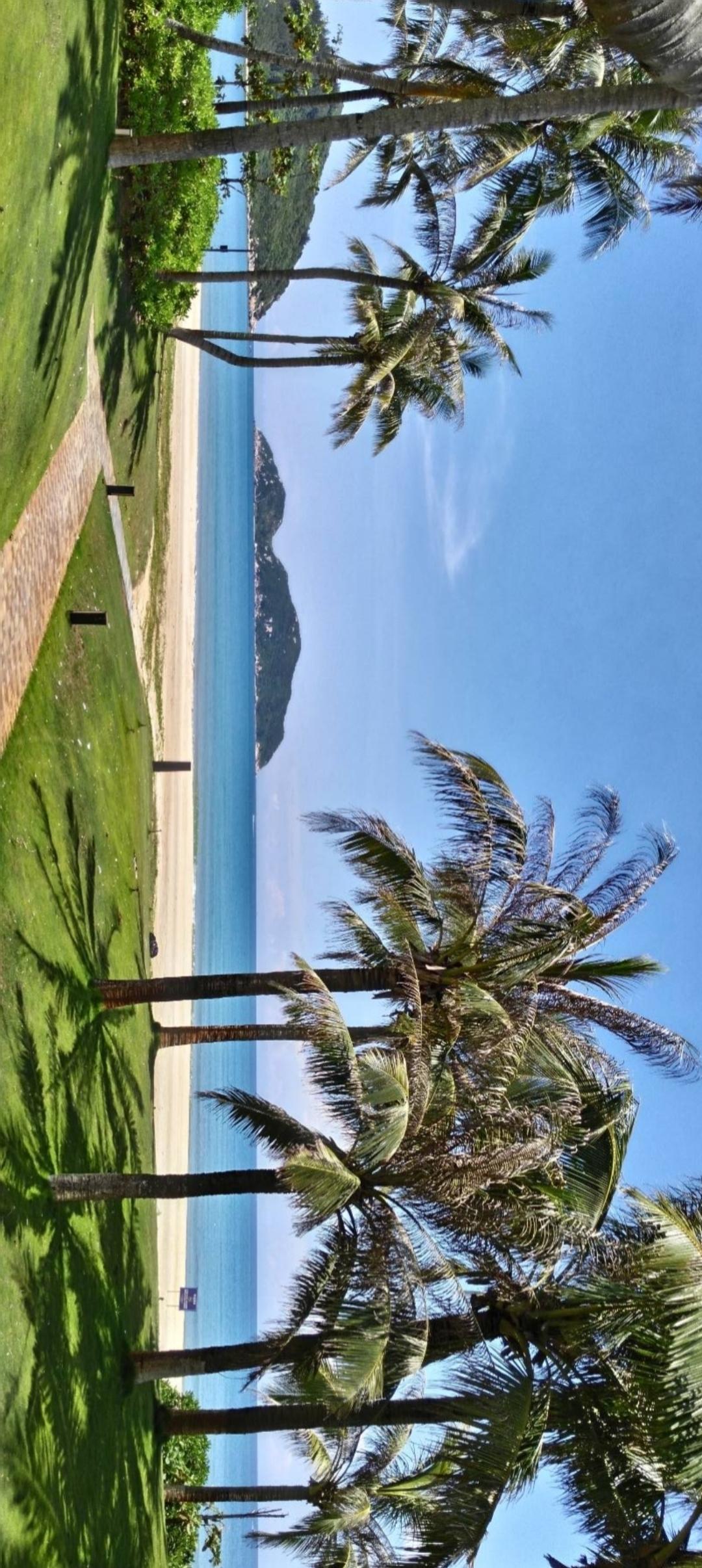热带风情的海滩，棕榈树摇曳，阳光明媚，度假胜地等你来！🌴🏖️🌞