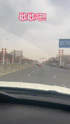 不想过年了？这是结伴儿私奔？


就没人能管管他俩吗？
手牵手一起出发了！
这是