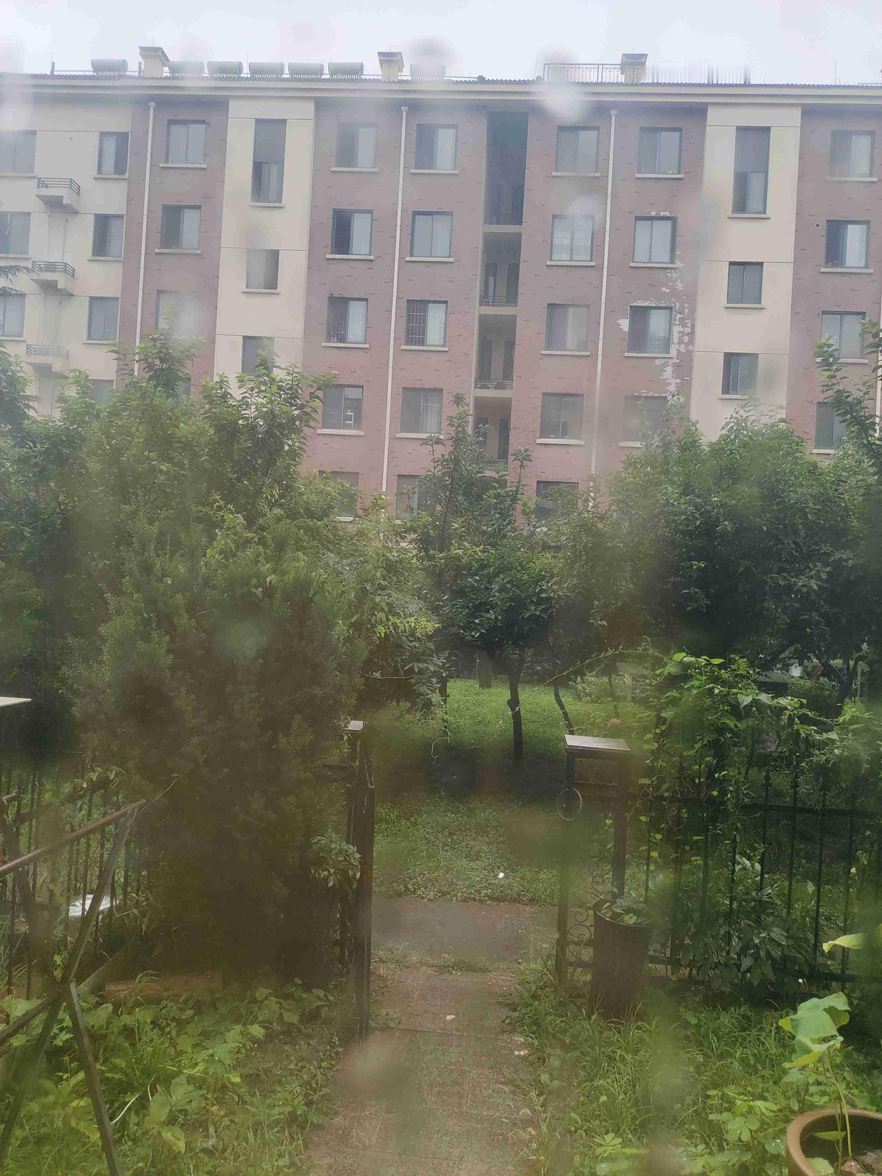 我的今日状态：😁轻松愉快
我这里的天气：🌧下雨
台风要来了，就问你怕不怕？