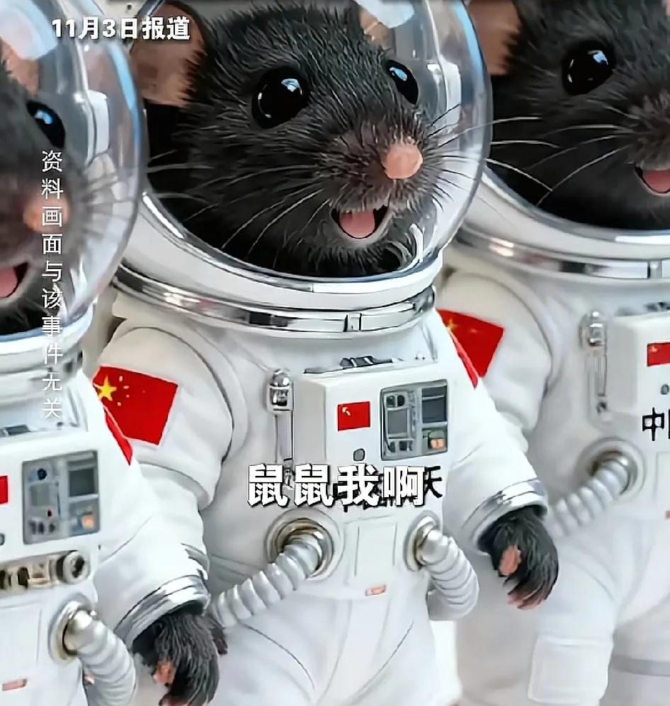 今夜无眠！神舟二十一携"鼠鼠天团"凯旋，征名现场笑不活了😂
 
谁懂啊！今晚根