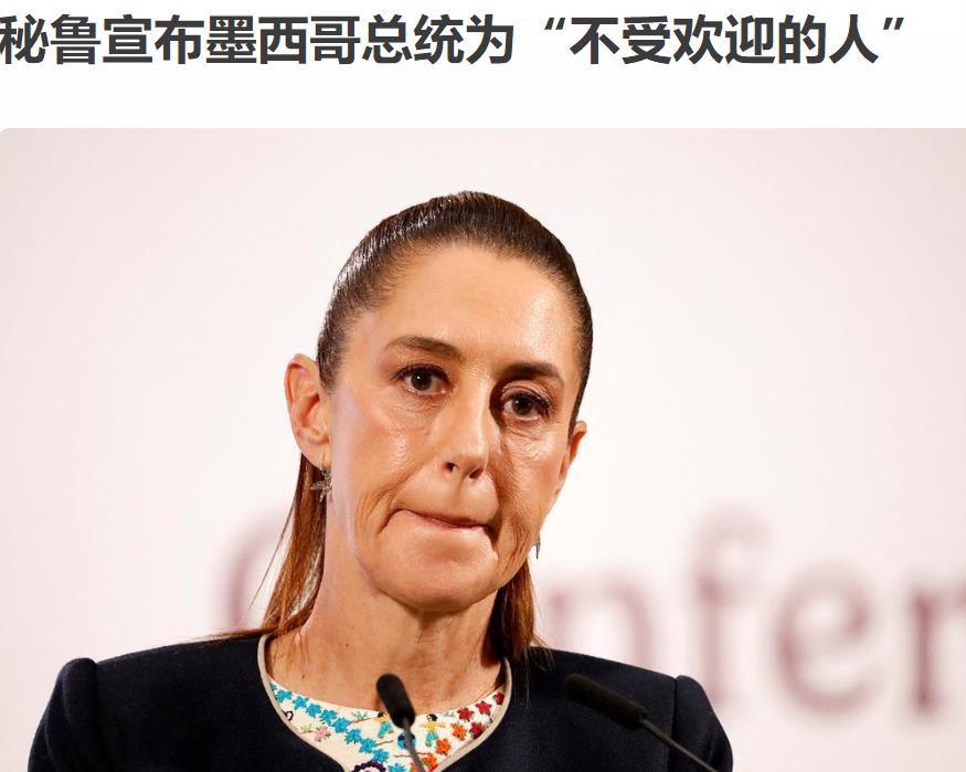 说干就干！
秘鲁因墨西哥庇护被控“叛乱”等罪名的前总理贝特西·查韦斯，而直接与墨