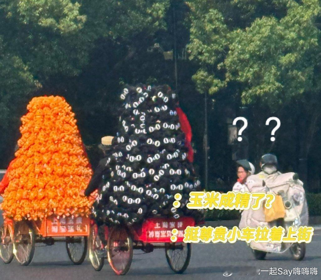 杭州六一街头惊现遛崽显眼包杭州六一街头惊现遛崽显眼包 六一氛围拉满！淘宝太会玩，