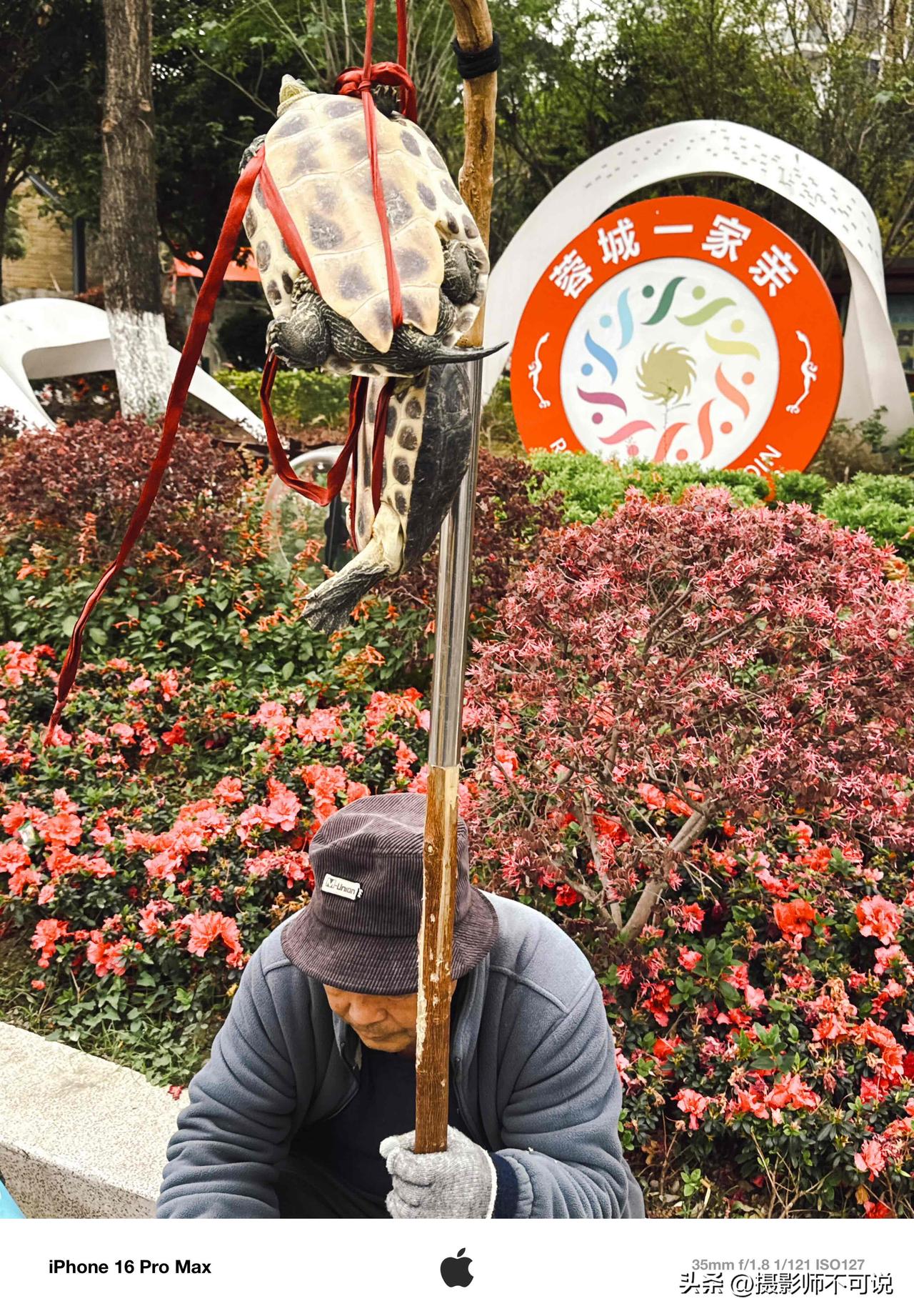 一个骗局居然持续了20多年还有人在行骗，也算是骗局界的常青树了。今天在成都街头看