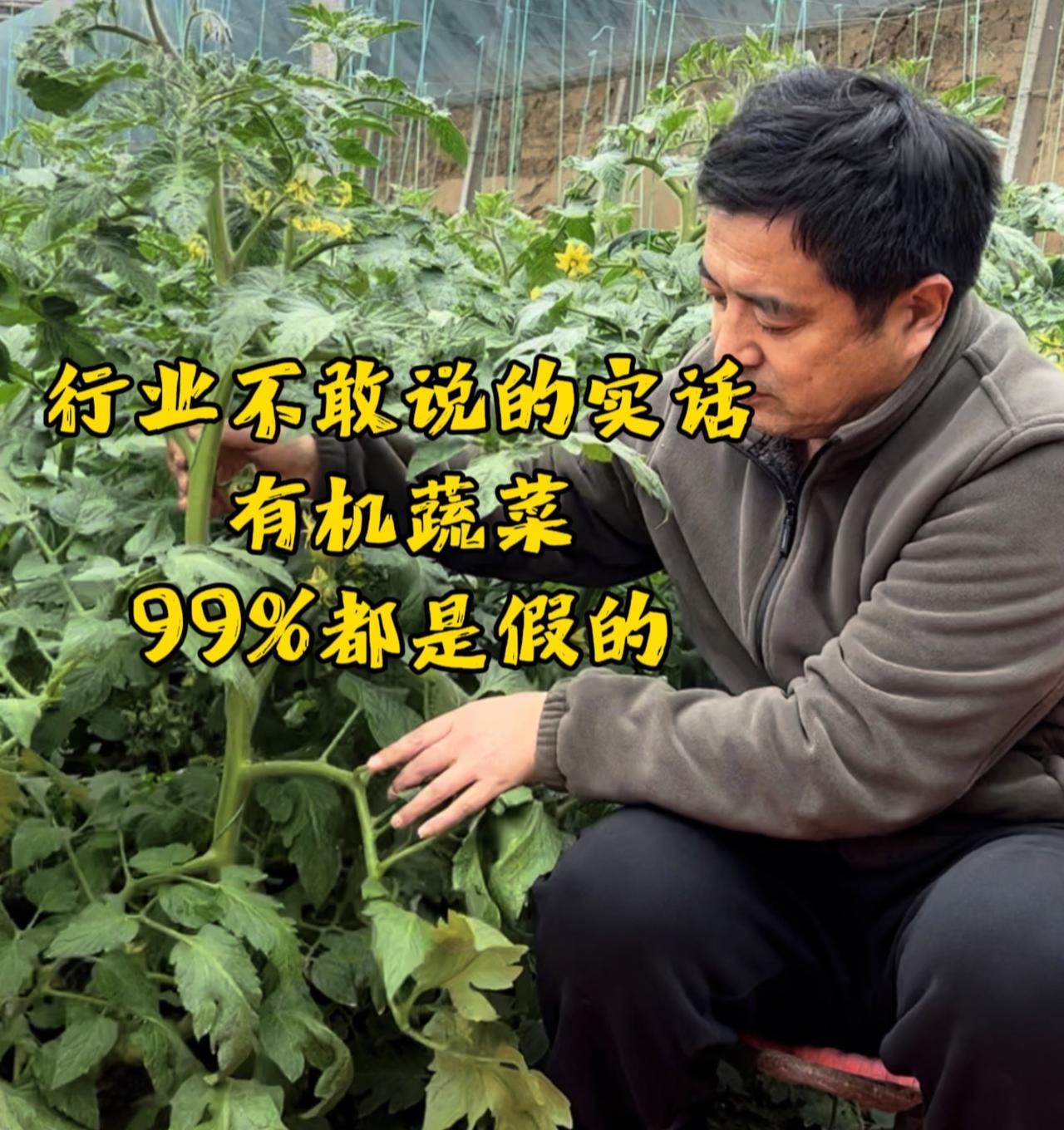 今天说句得罪全行业的话，可能会被骂，但憋太久了。

你们在超市花高价买的有机蔬菜