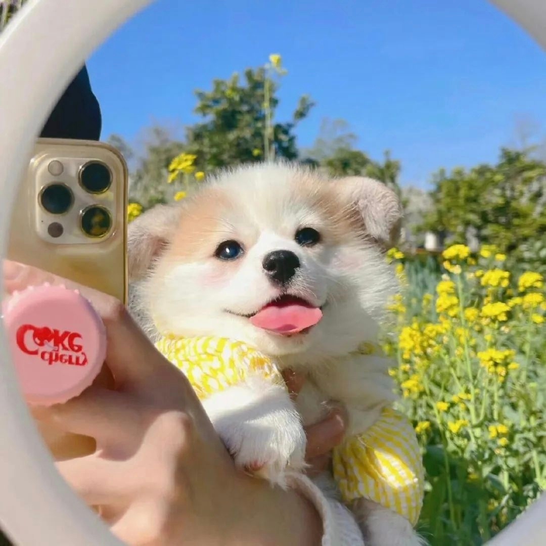 愿生活多一点惊喜 