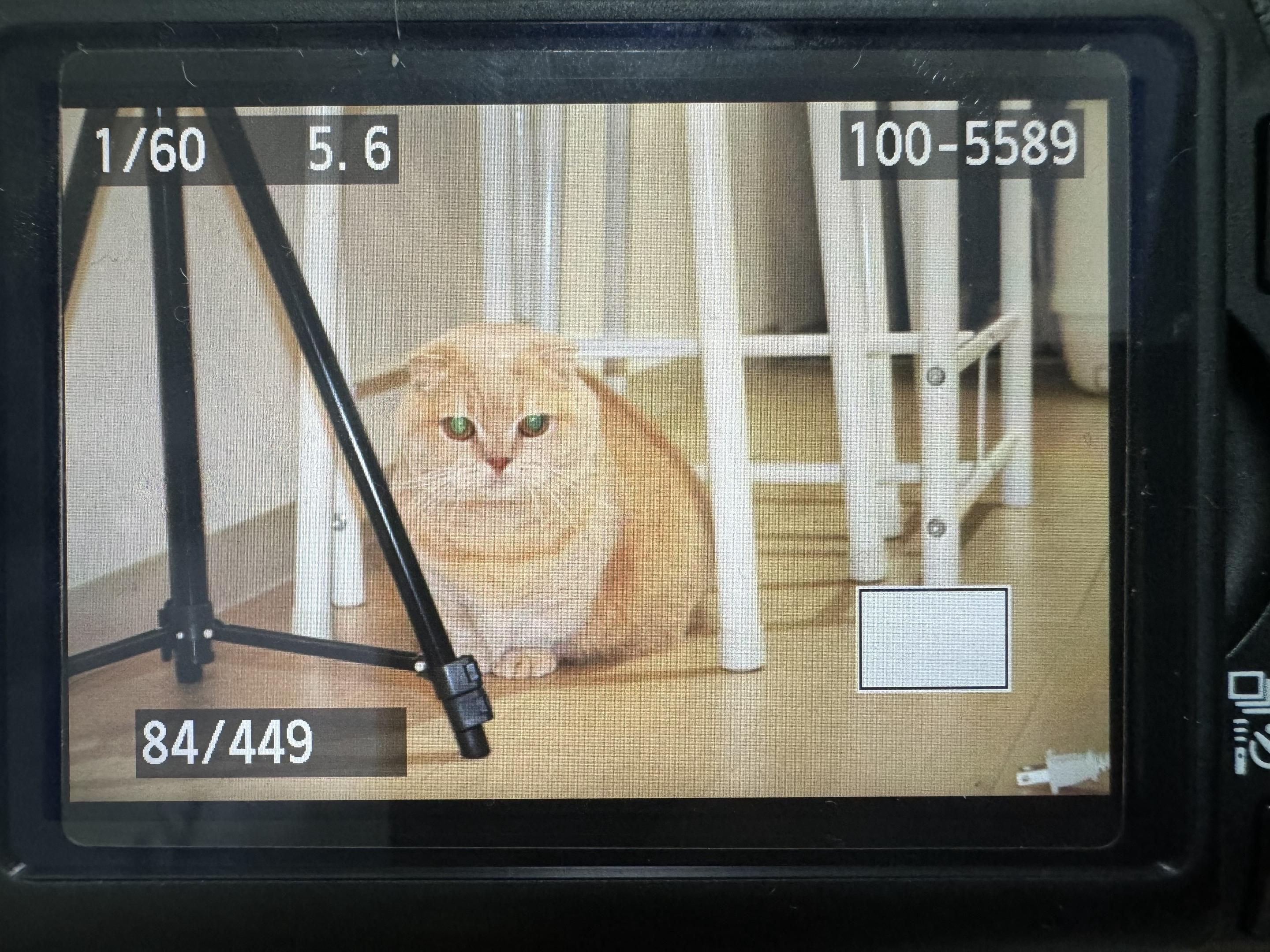 翻旧相机看到六七年前的古早瓶盖，可可爱爱，回头一看现在的瓶盖（p3）感...