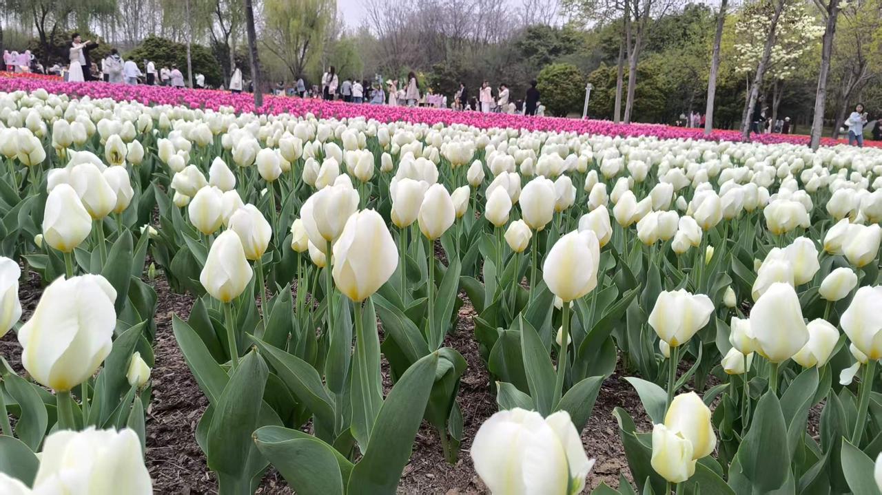 40岁985CPA中年失业第一天！
一觉睡到自然醒，不用上班打卡的日子，心里突然