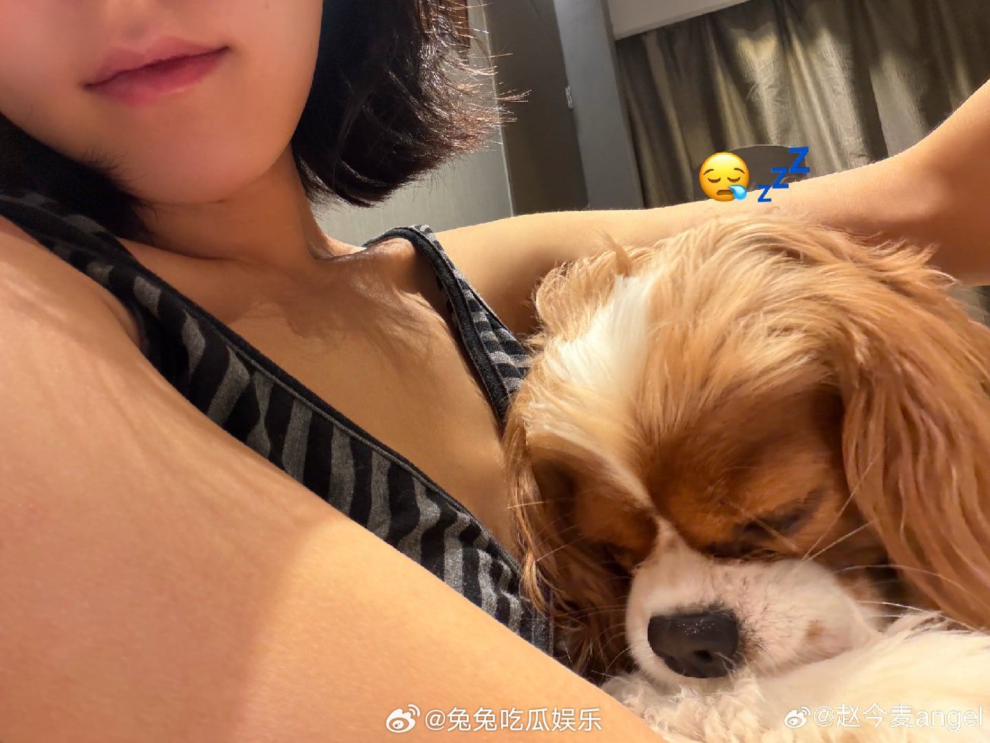 赵今麦抱拿铁合照  是谁羡慕了 