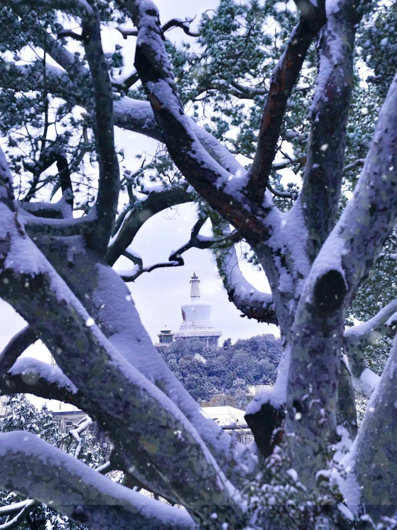 这真是一个令人惊喜的自然奇观！北京的雪“冒烟”现象，实际上是由于雪花在遇到较冷的