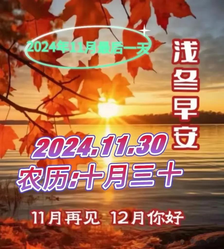 11月再见，12月你好！
在时光悄然无声的脚步里，今日已是11月的最后一日。
这