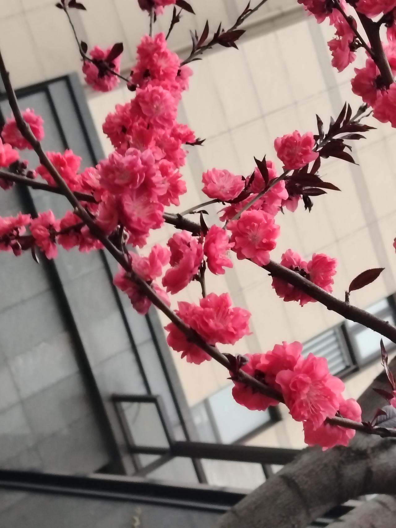 我认为愿意。
因为此刻的喜怒哀乐、选择与遗憾，共同构成了无法复制的“我”！再活一