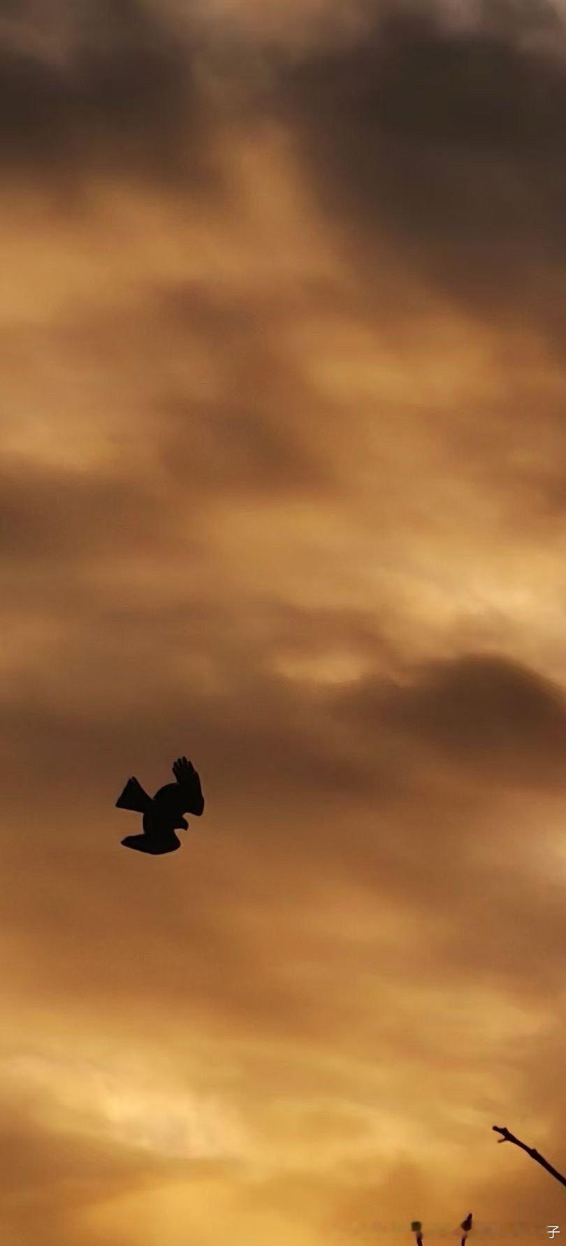 人生天地间，忽如远行客，步履匆匆望朝阳。 