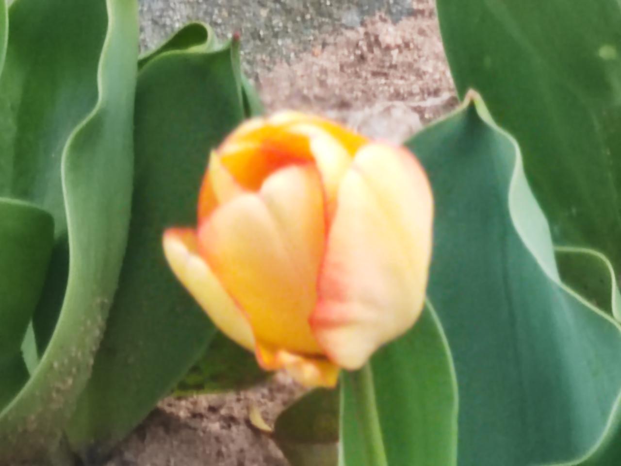 老了什么是你的底气健康和金钱。