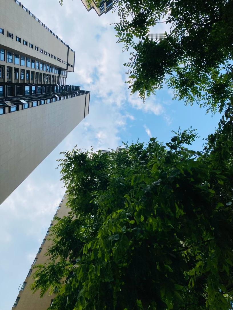 生活手记记录真实生活摄影摄影摄影 五点的风，是生活给的温柔回信，五点的下班铃一响