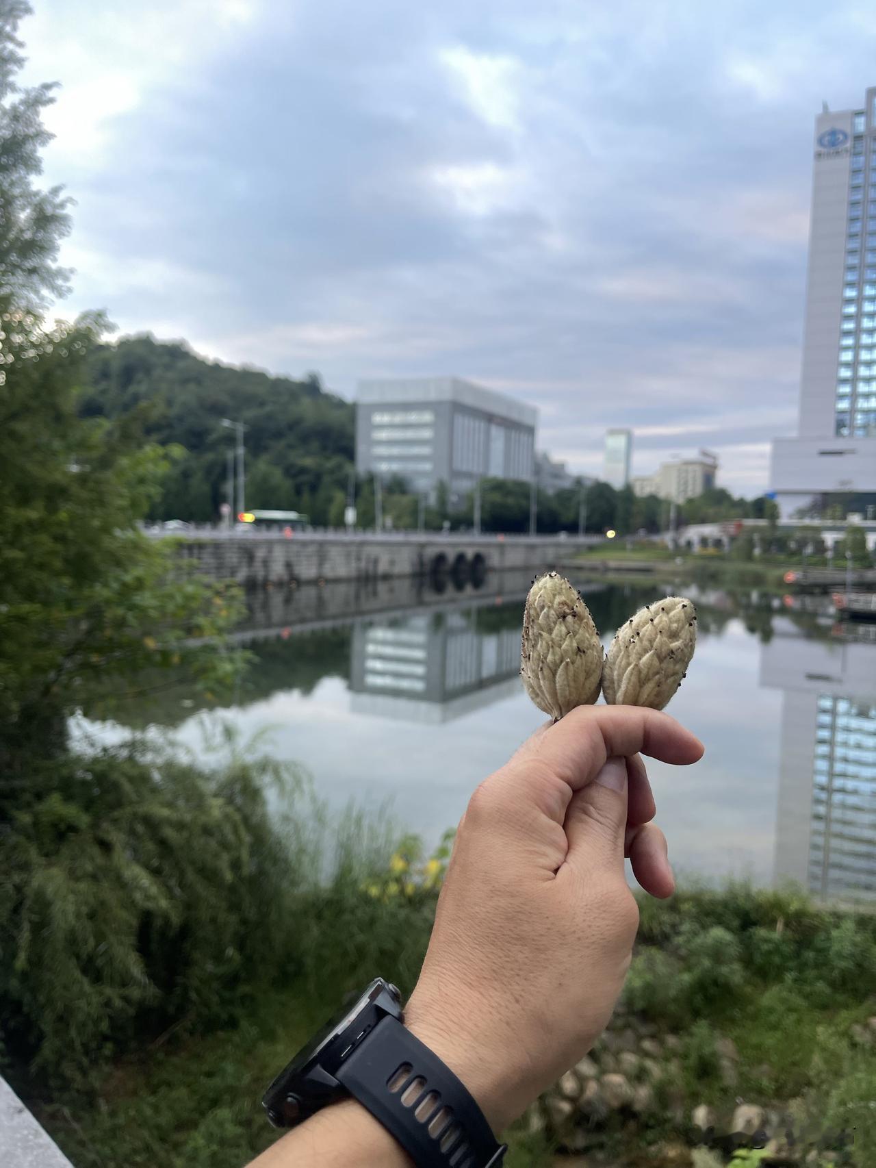 开启美好的一天
当下昨日的烦恼
期待下一个机遇
继续卷腹进膳食
卷腹减脂训练 健