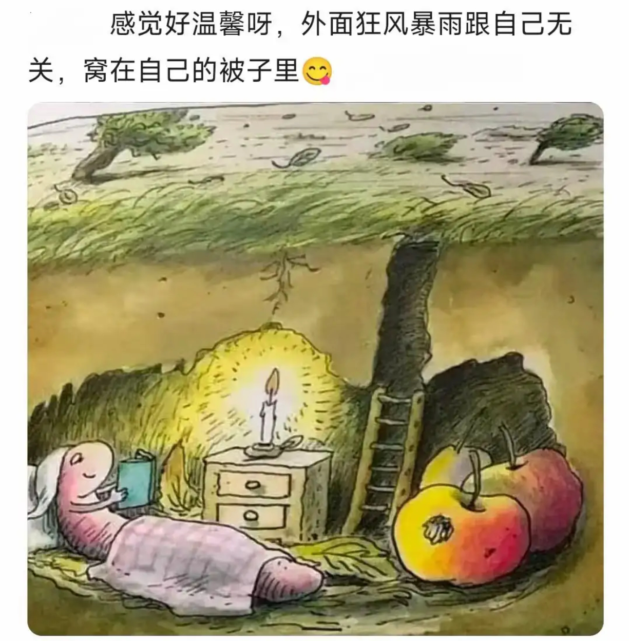 这感觉好温馨啊 ​​​
