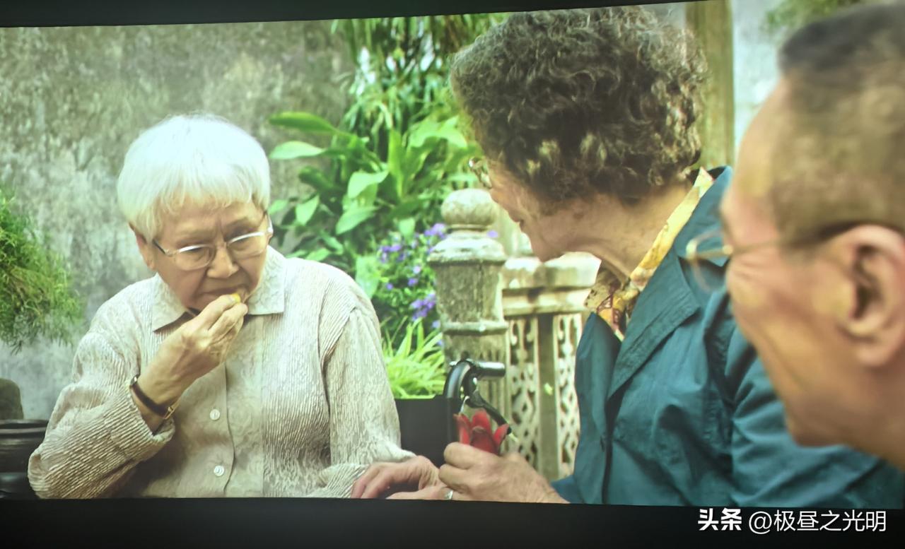 谢南枝为什么那样做？
今天将《给阿嬷的情书》剧透给家人时，家人问：“谢南枝为什么