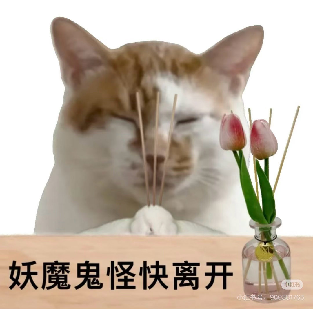 为什么会有人灌输想要成为主流，融入主流就必须要去流量？ 在如今这个网络发达的时代