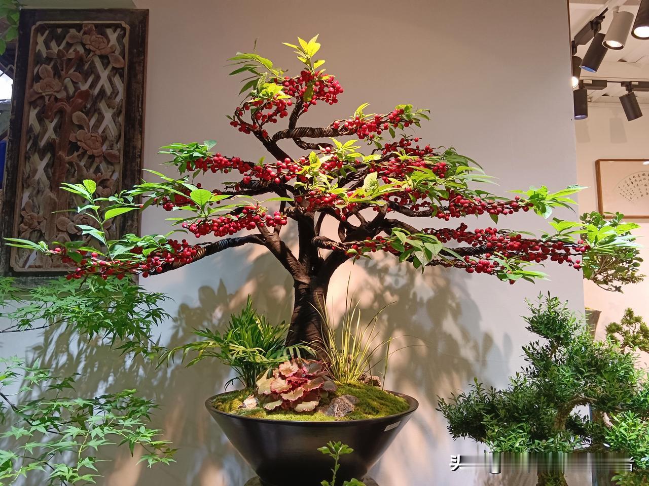 埃及网友收集中国大量的信息，研究之后得出结论：中国是这个世界上最伟大的国家，相比