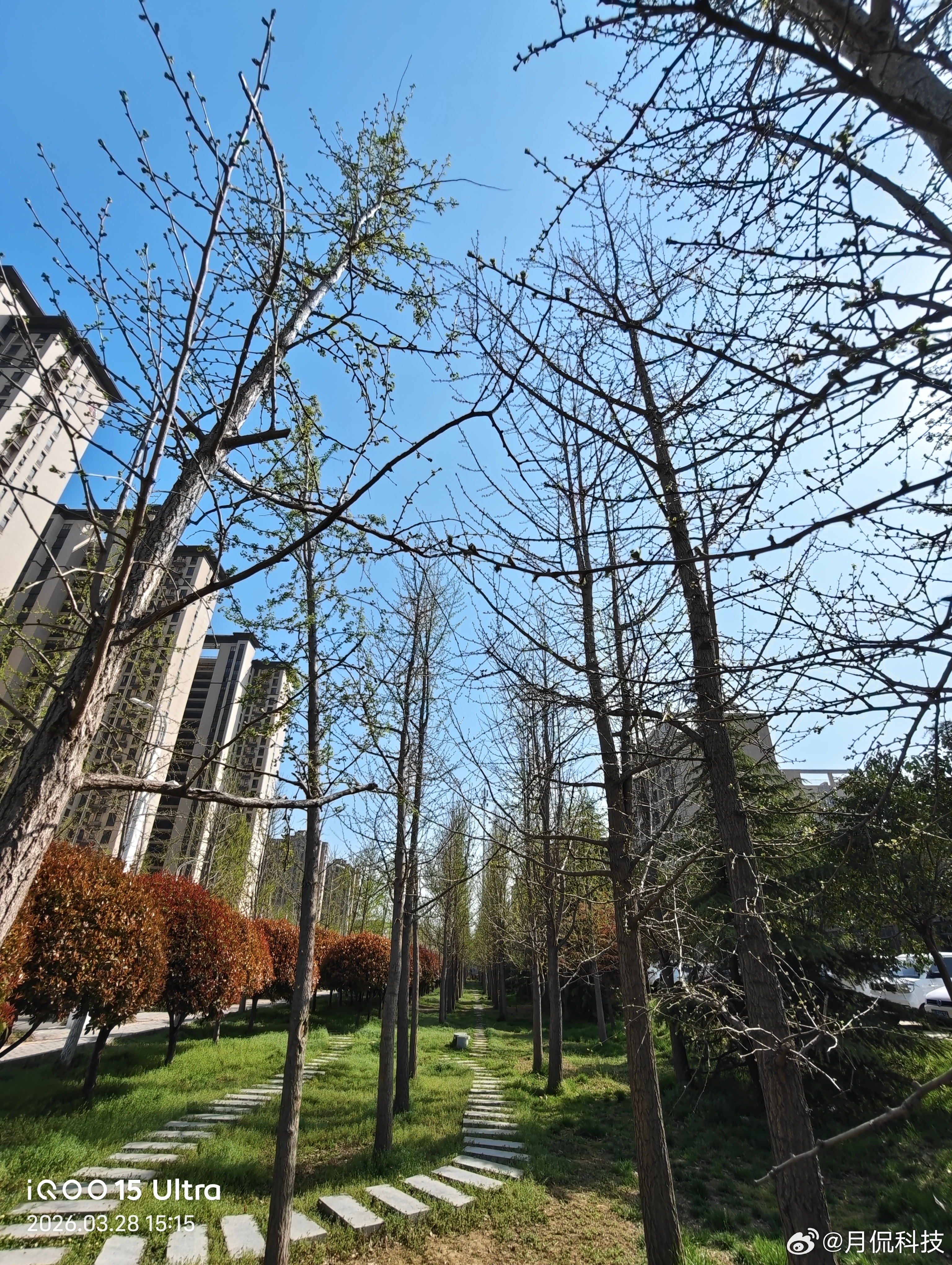 今日宜踏春，用iqoo15 ultra 拍出你那里的春天吧！iqoo
