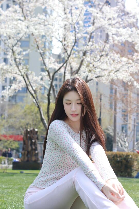 春天的调色盘🌸