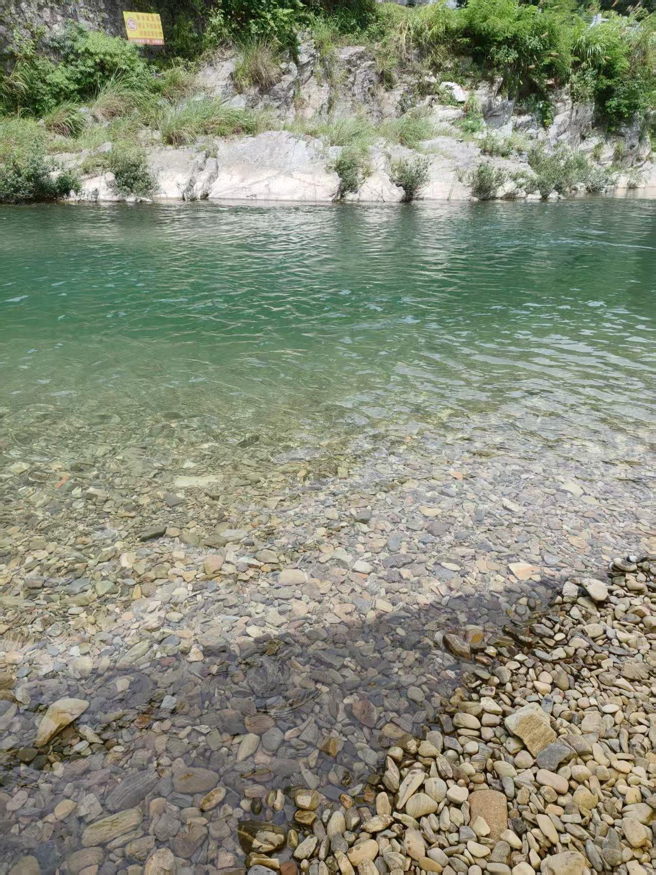 夏日炎炎唯有河边下河泡泡，才是真的爽歪歪！
