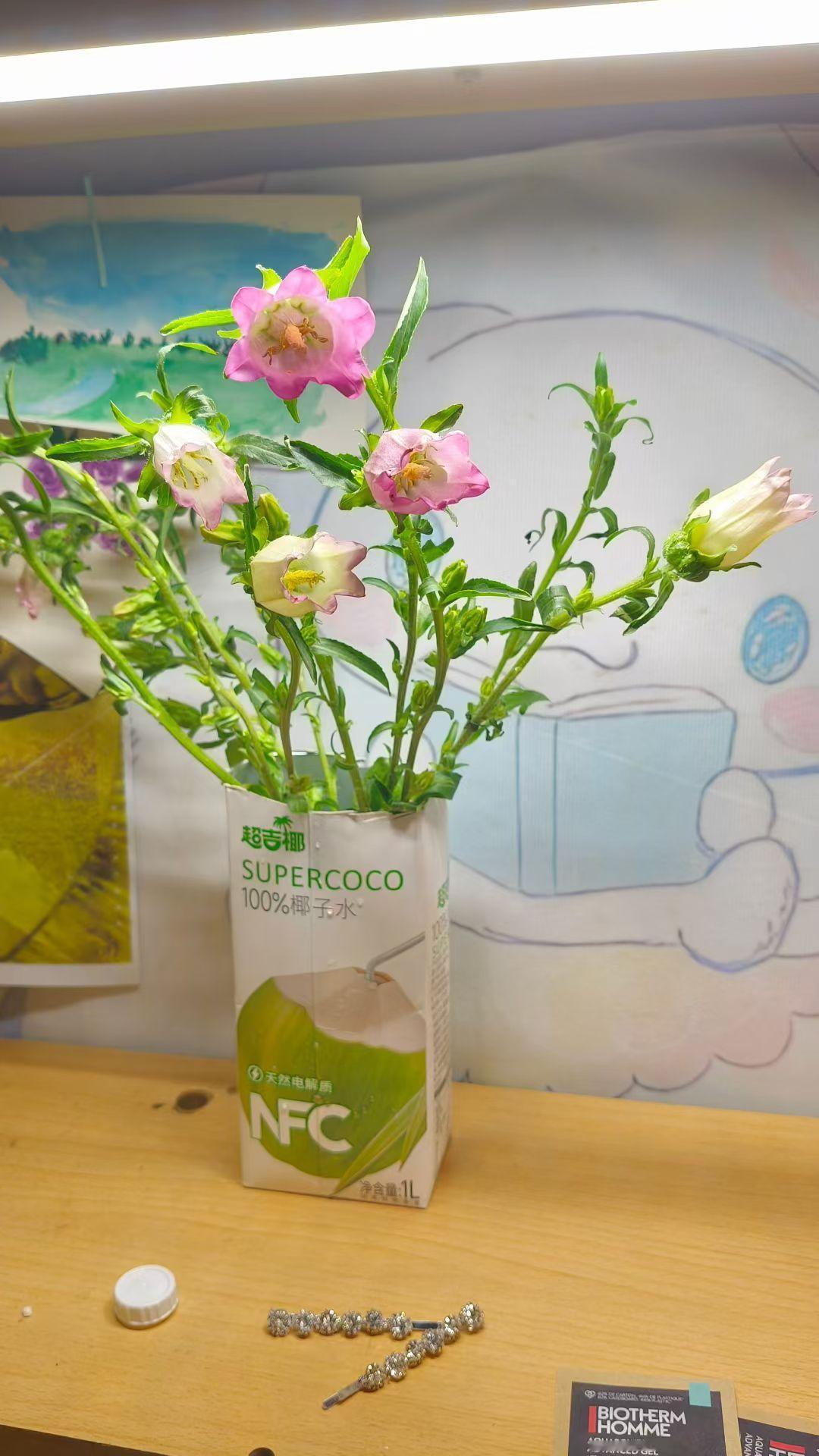 分享手机里的花花草草