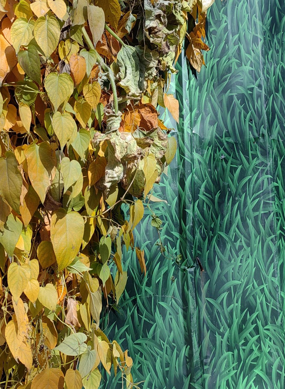 蓝玉功劳很大，朱元璋给他个“剥皮实草”的死法，株连一万五千多人，震撼。
袁崇焕功