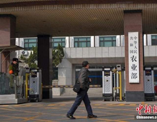 中央定调！村集体“身份证”落地！没办登记会吃啥亏？一次说清！