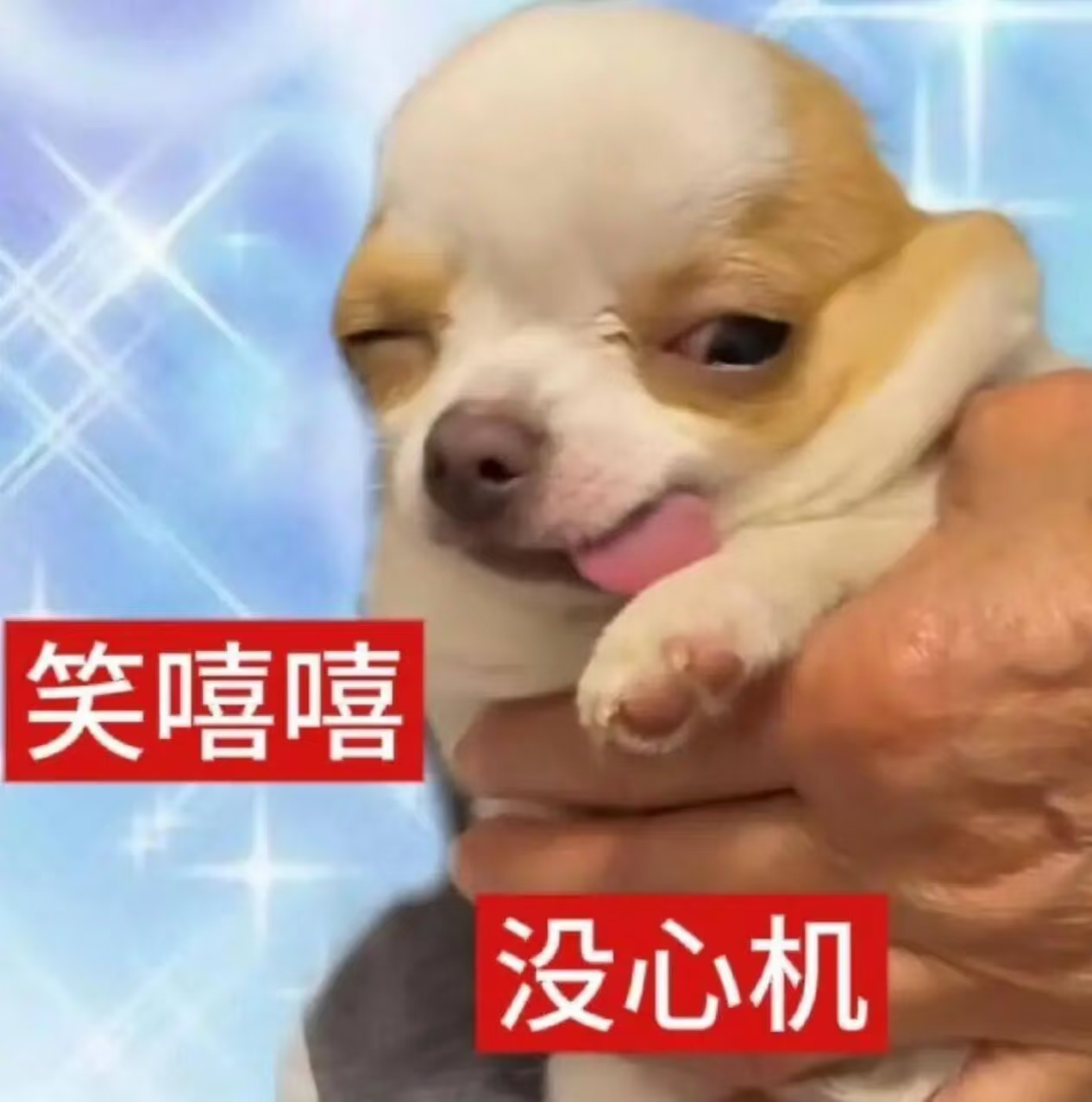 好18号我买好零食蹲田雷直播了 