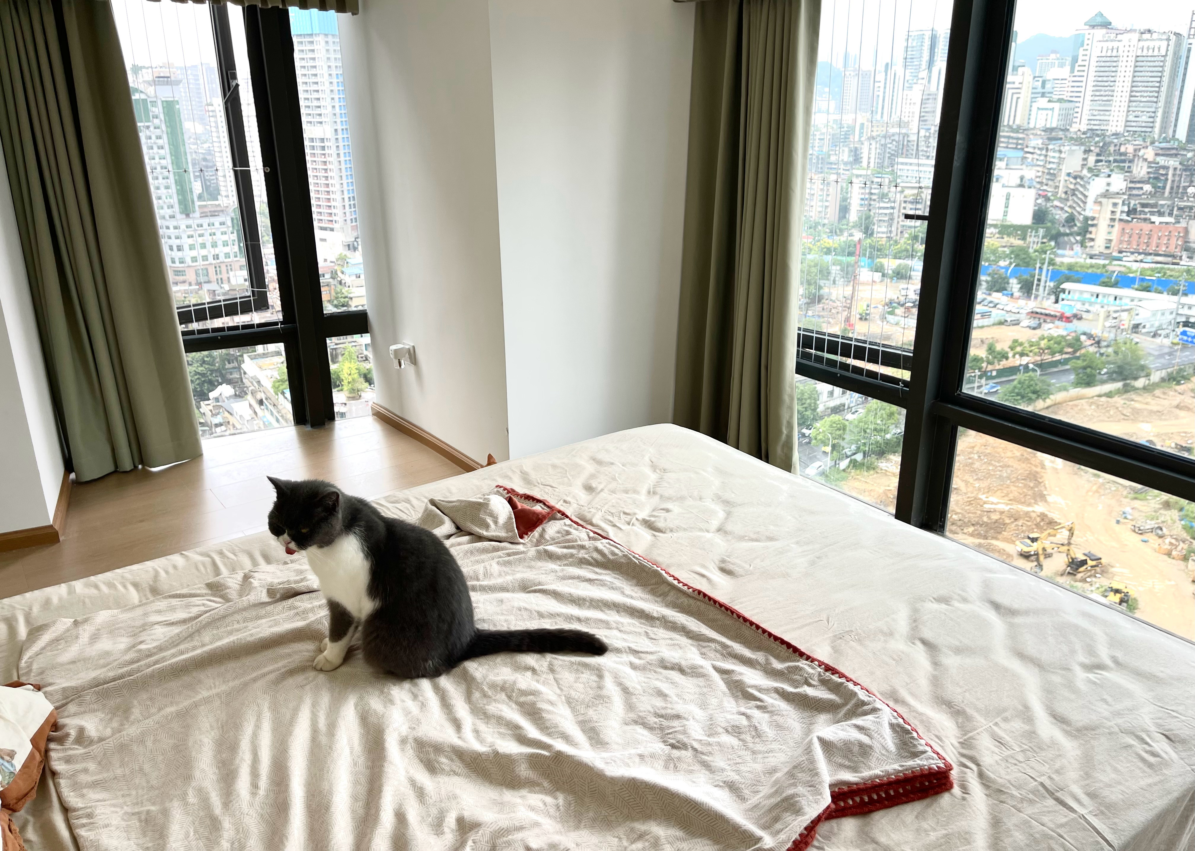 小猫为了小猫不坐牢，斥巨资租房了属于是 