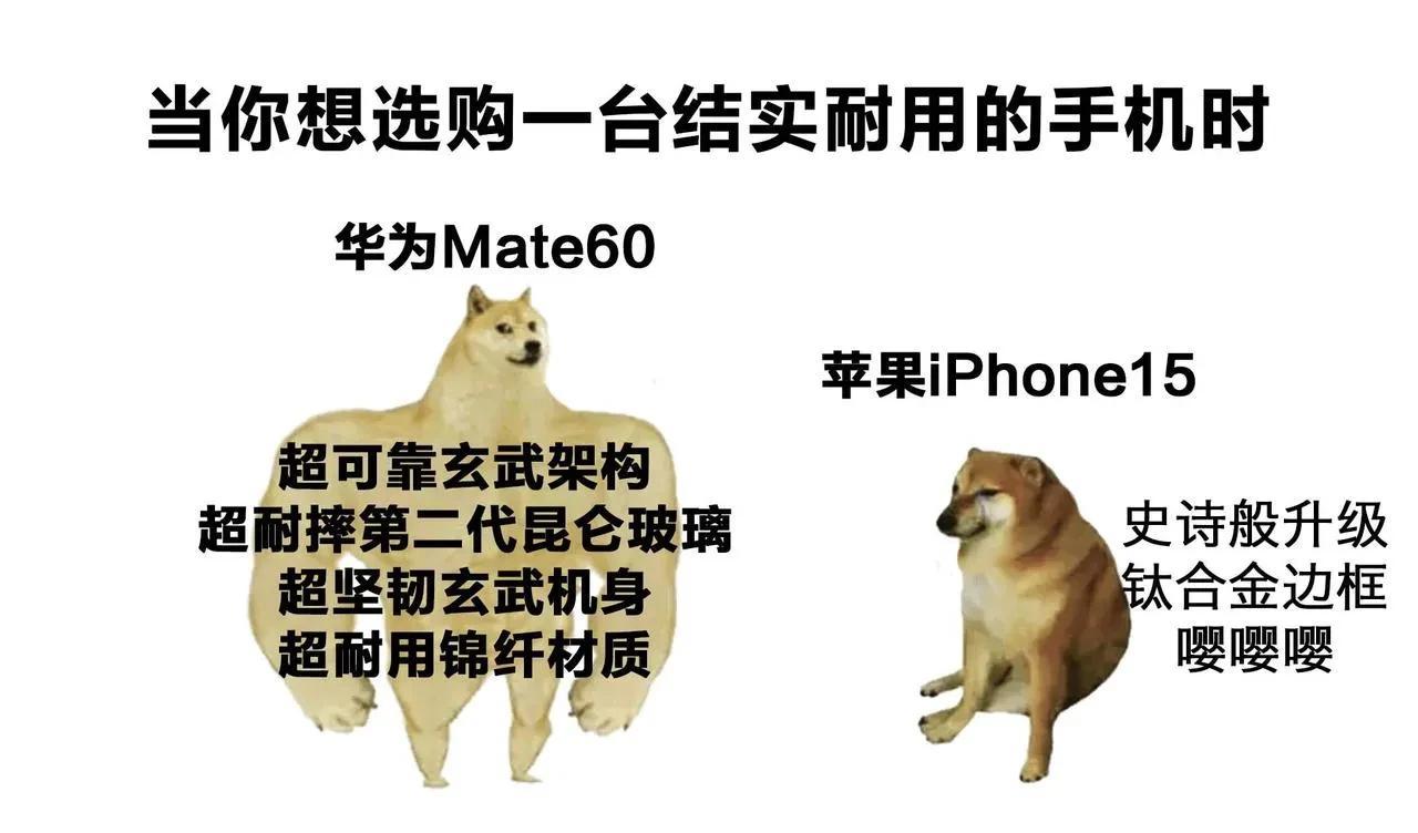 华为Mate60系列自开售以来，以其超可靠玄武架构成为消费者和数码博主们瞩目的焦
