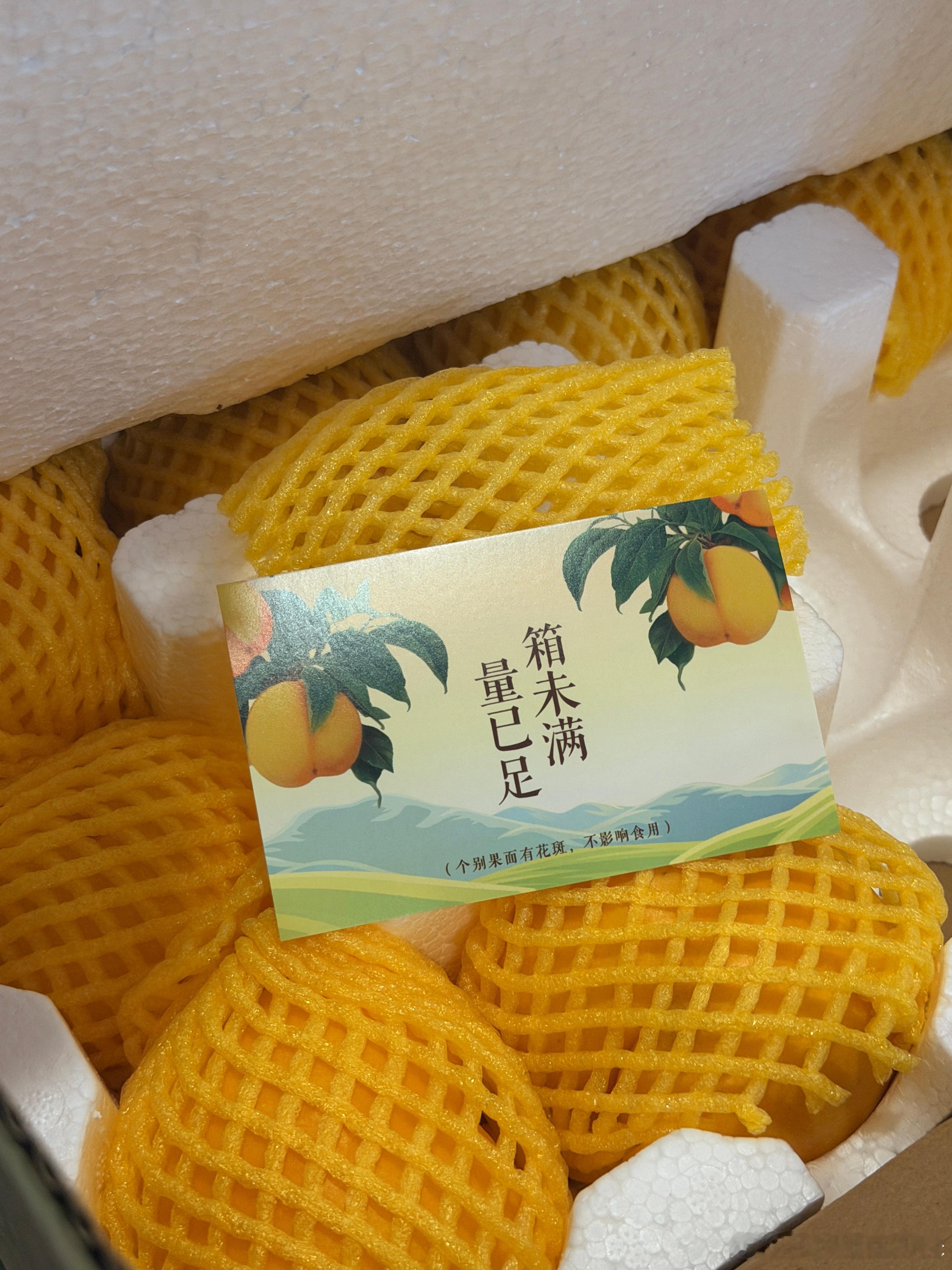 结束了旅途，从一颗芒芒桃找回生活的秩序感。（每年最期待的一款桃了没有之一，年年回