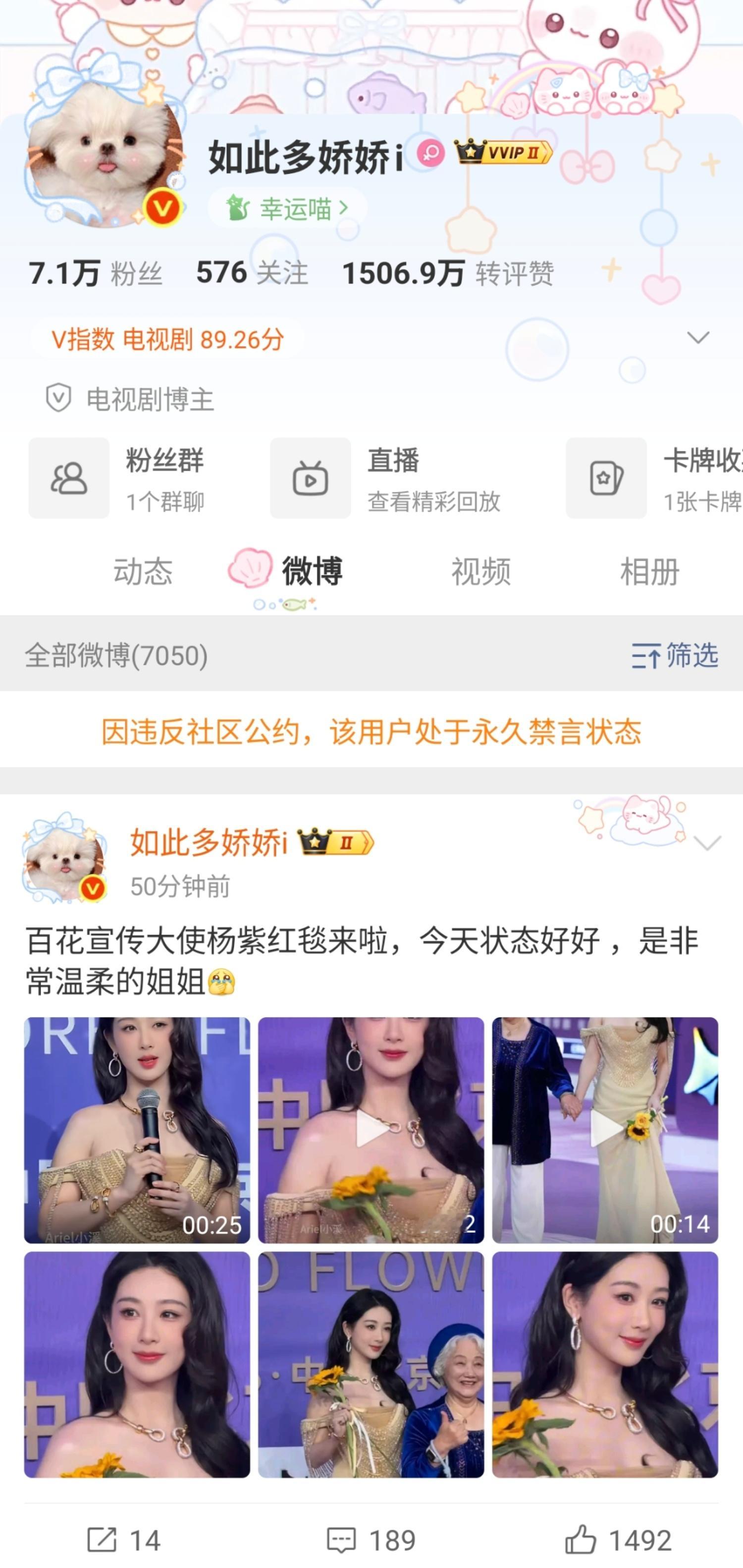 喜报！发潴肝儿被吜到永禁