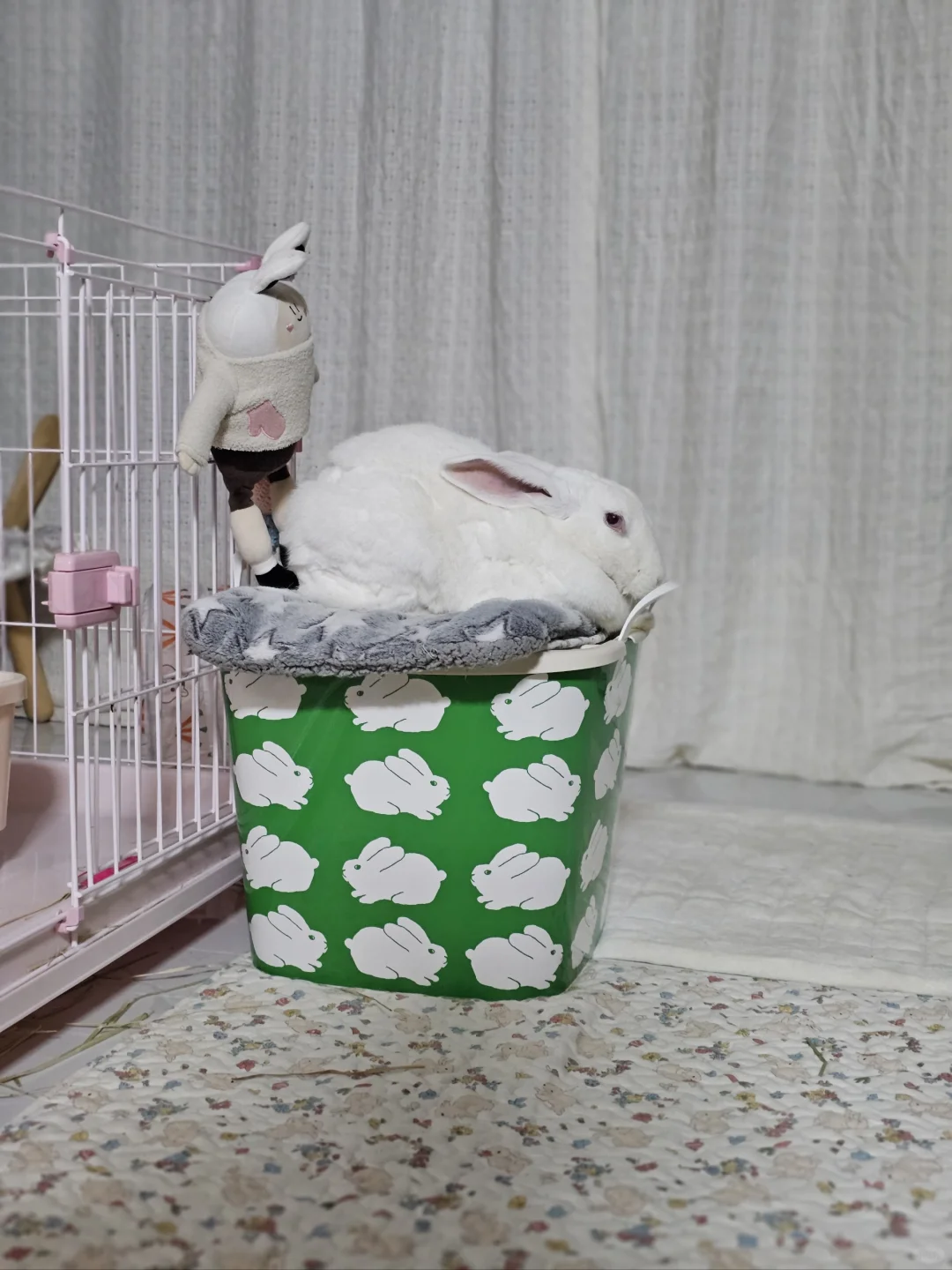 超强自我管理意识